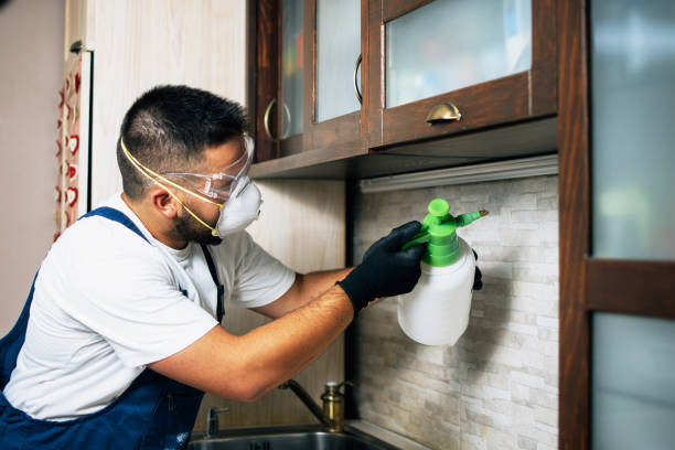 Best Pest Control Cost  in Berkley, CO