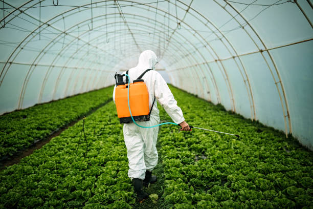 Best Pest Inspection Near Me  in Berkley, CO