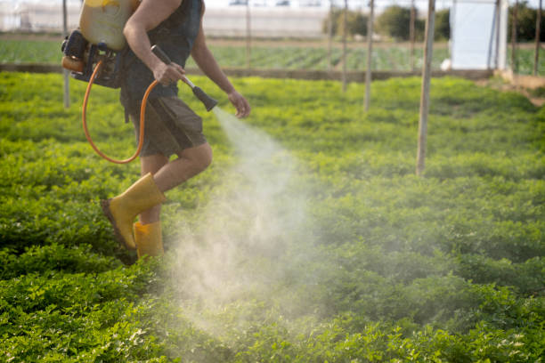 Best Local Pest Control Services  in Berkley, CO