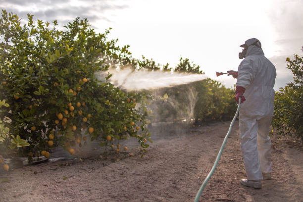 Best Best Pest Control Companies  in Berkley, CO