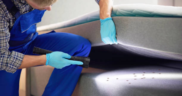 Best Best Pest Control Companies  in Berkley, CO