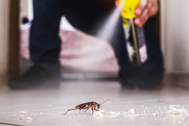 Best Bed Bug Extermination  in Berkley, CO