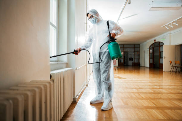 Best Affordable Pest Control Services  in Berkley, CO