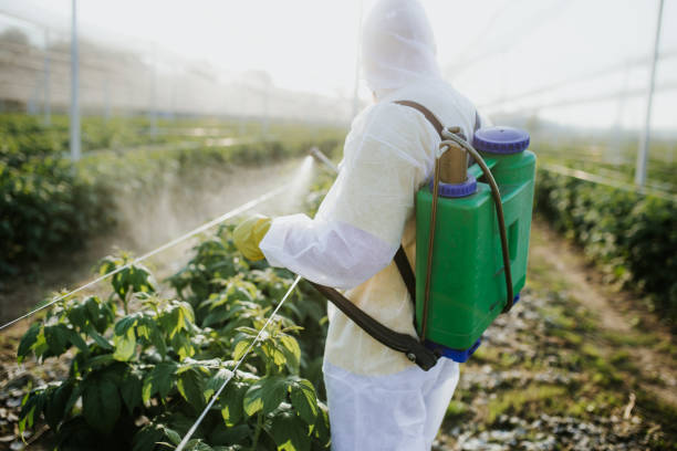 Best Affordable Pest Control Services  in Berkley, CO